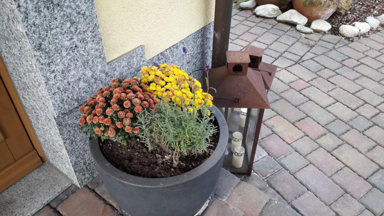 Naunhof Ferienwohnung Leipzig Land מראה חיצוני תמונה